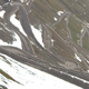 Plants: image 49 0f 99 thumb